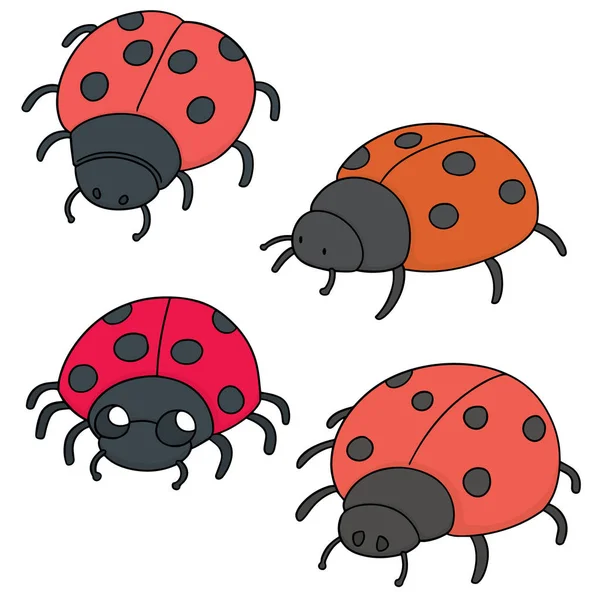 Vector set of ladybug — Stock Vector