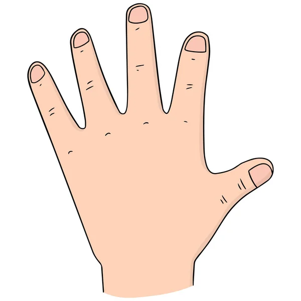 Vector set of cartoon hand — Stock Vector