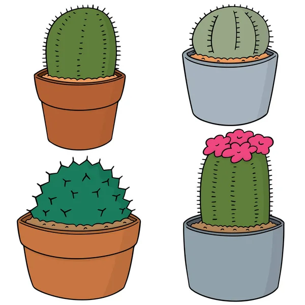 Vector conjunto de cactus — Vector de stock
