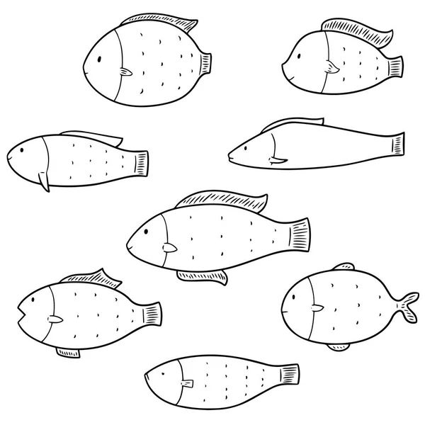 Conjunto vetorial de peixes — Vetor de Stock