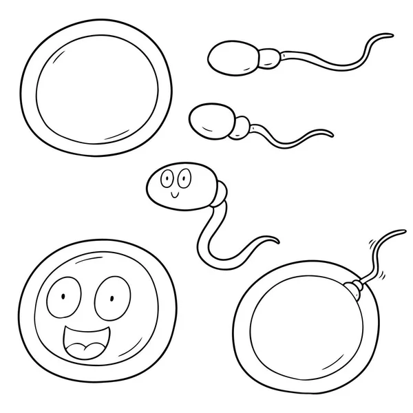 Insieme vettore di spermatozoi e ovuli — Vettoriale Stock
