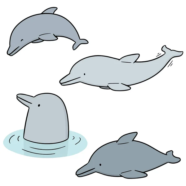 Векторный набор дельфинов — стоковый вектор