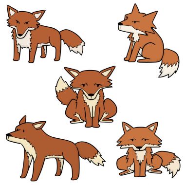 vektör set Fox