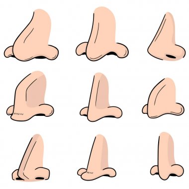 vector set of nose clipart