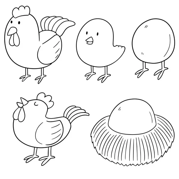 Векторный набор курицы и яйца — стоковый вектор