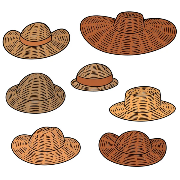 Vektör Set Hasır Şapkalar — Stok Vektör