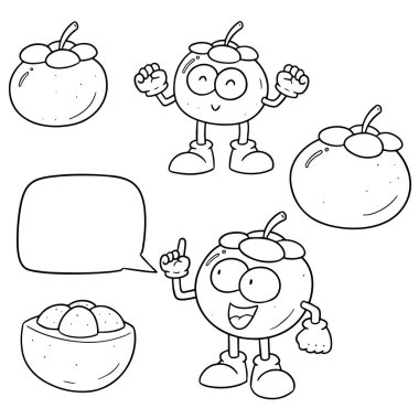 vektör set mangosteen