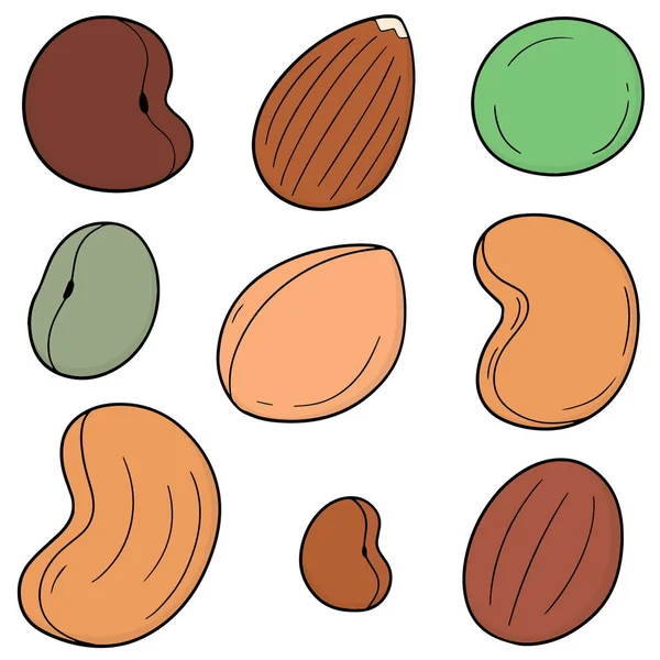 豆のベクトルを設定 — ストックベクタ