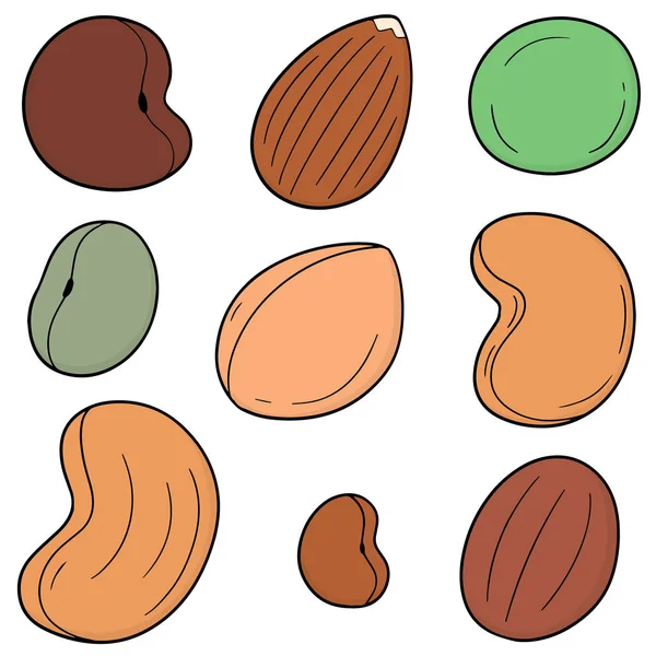 Vector Set Beans — Stock Vector