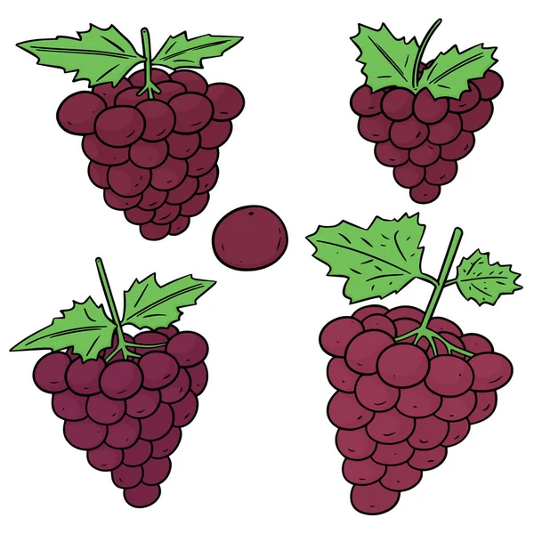 Векторный Набор Винограда — стоковый вектор