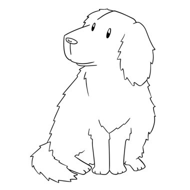 vektör köpek, golden retriever