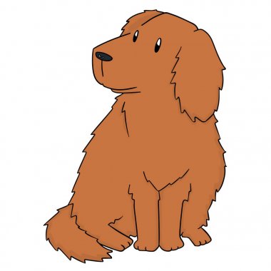 vektör köpek, golden retriever