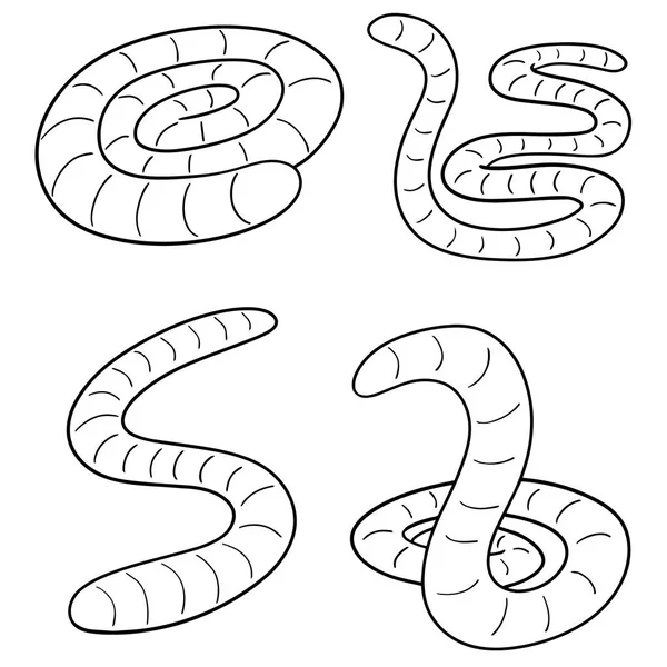 Vector Set Worm — Stockvector