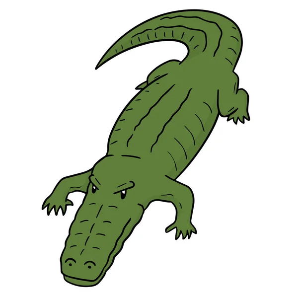 Conjunto Vetorial Crocodilo — Vetor de Stock