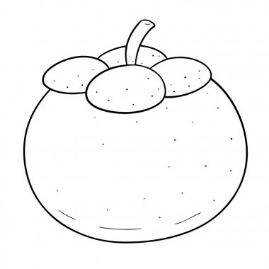 vektör set mangosteen