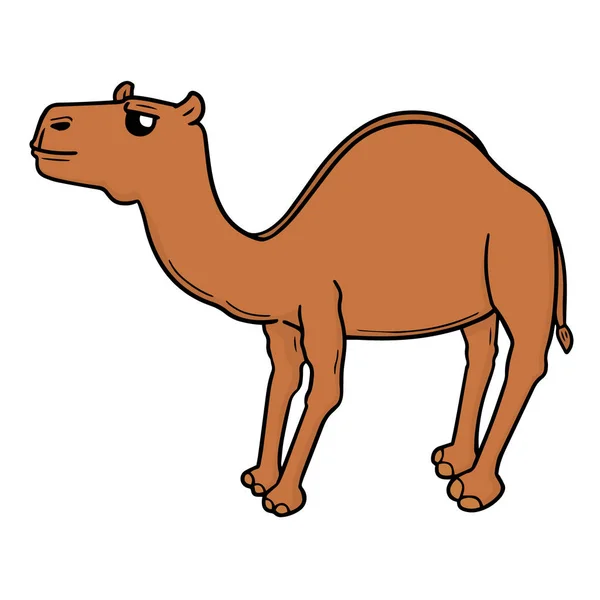 Conjunto Vetorial Camelo —  Vetores de Stock