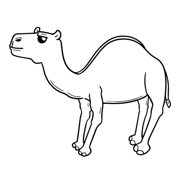 Vector Uppsättning Kamel — Stock vektor
