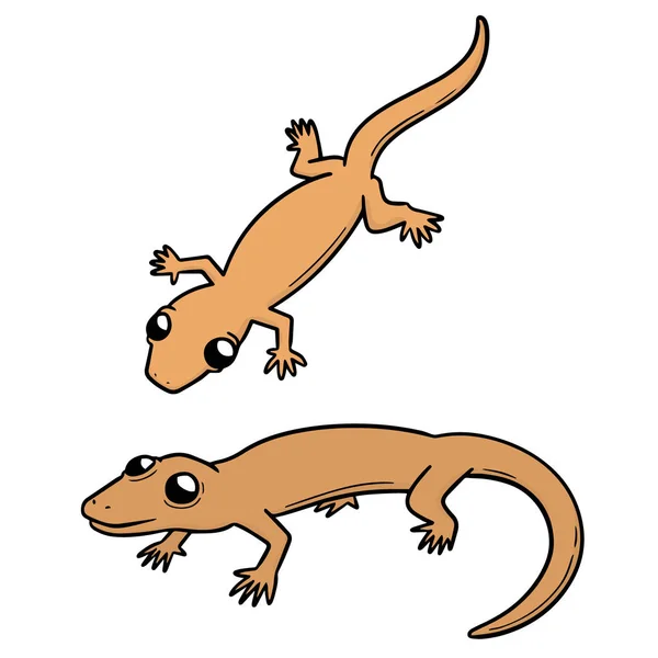 Vector Set Lizards — Stock Vector