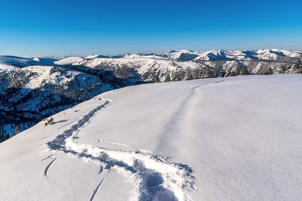 Bir dağ Plato üzerinde karda iz — Stok fotoğraf