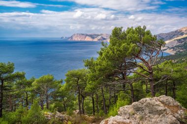 Pine Grove için yapılan Ayazma yolu
