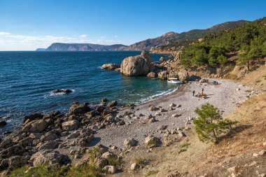 Cape Aya kumsalda incir