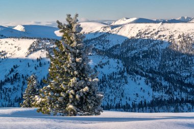 Khamar-Daban ridge görünümünü sabah