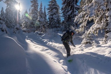 Freeride Khamar-Daban dağlarda