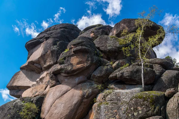 Riserva Krasnoyarsk pilastri. Pilastro del nonno — Foto Stock