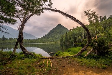 Lake Dead kıyısında. Sıcak göl Snezhnaya Nehri yakınında. Baykal bölge