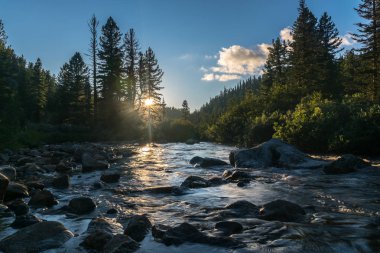 Orman Kamenka nehir kıyısında akşam
