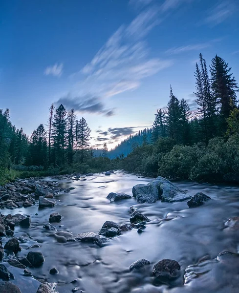 Avond in het forest op de oever van de rivier de Kamenka — Stockfoto