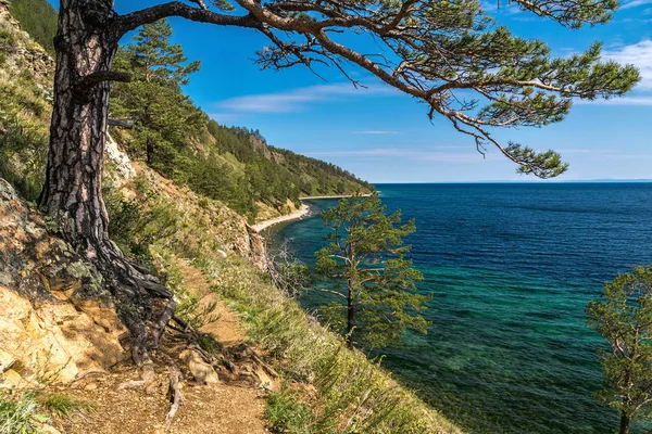 The Great Baikal Trail di Taman Nasional Pribaikalsky — Stok Foto