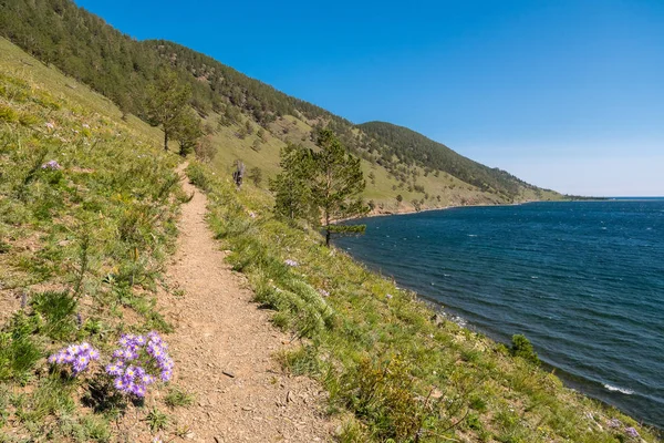 The Great Baikal Trail di Taman Nasional Pribaikalsky — Stok Foto