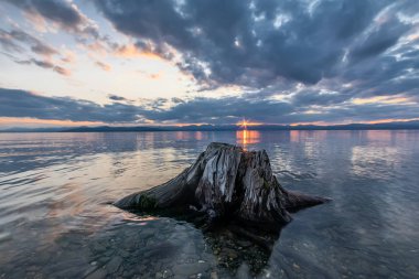 Lake Hovsgol suda güdük