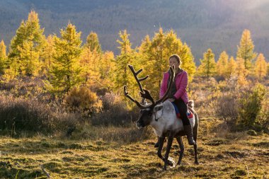 September 11, 2017: The Mongolian girl rides on a deer, Mongolian forest clipart