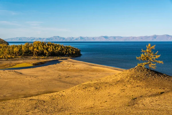 库苏古尔湖岸边的沙丘 — 图库照片