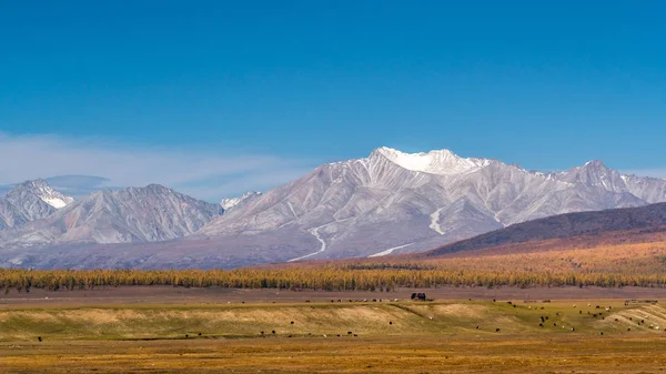 Vue sur le mont Munku-Sardyk - le plus haut sommet du Sayan oriental — Photo