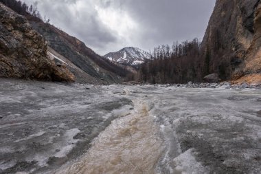 Doğu Sayans dağlarda bahar