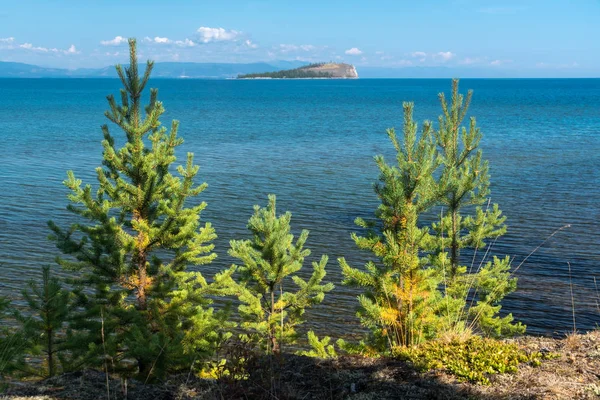 Vista dell'isola di Boguchan. Baikal settentrionale — Foto Stock