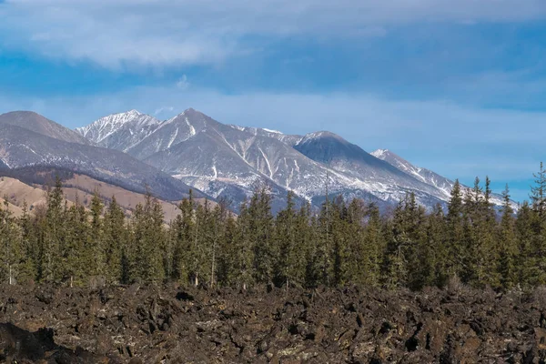 狭山を背景にした泥質溶岩の田 — ストック写真