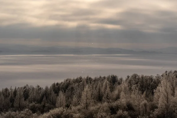 Vinterskog vid sjön Baikal — Stockfoto