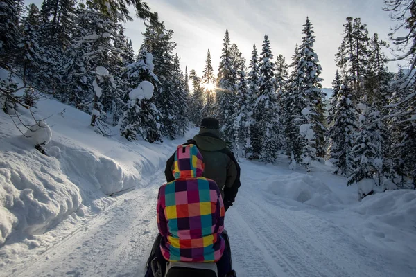 Turisté jezdit na skútru v zimním lese — Stock fotografie