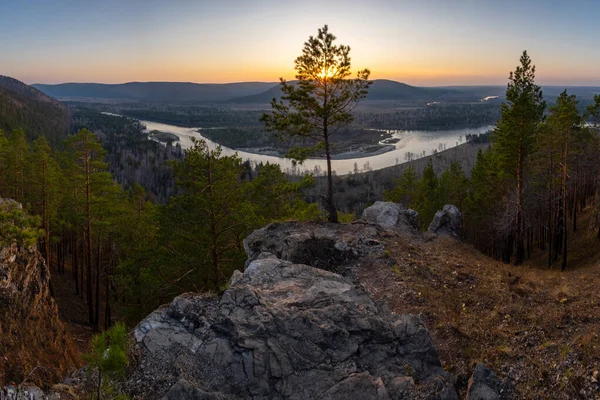 Bir uçurumun kenarında yalnız bir çam