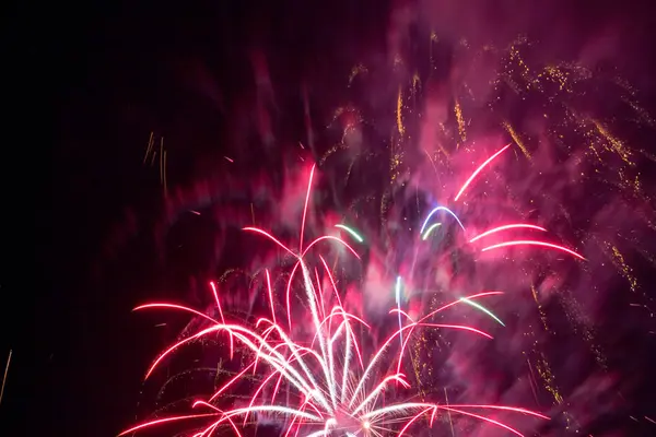 Kleurrijke vuurwerk Nieuwjaar — Stockfoto