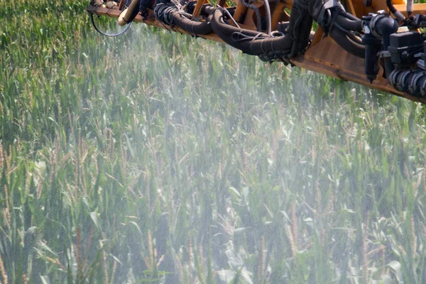 Pestes de insetos pulverizadores de milho — Fotografia de Stock