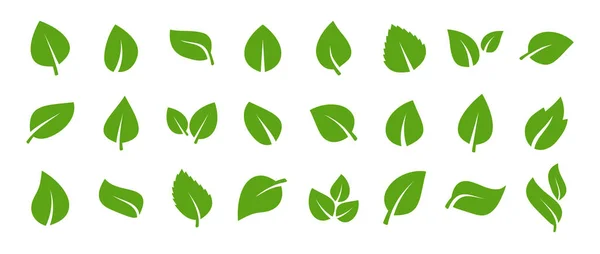 Ensemble d'icônes de feuilles vertes. Couleur verte. Leafs logo icône de couleur verte. Feuilles sur fond blanc. L'écologie. Illustration vectorielle. — Image vectorielle