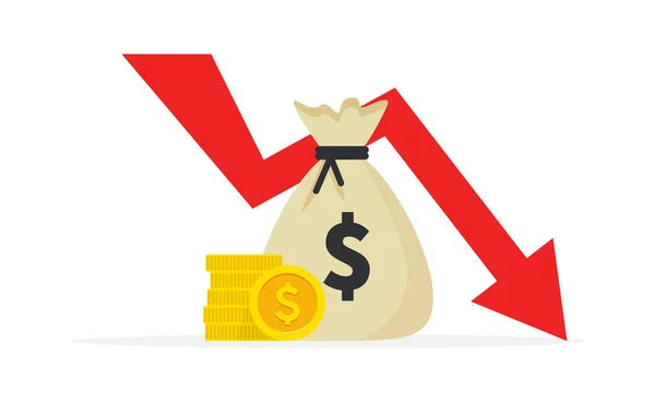 Een crisis. Grafieken en grafieken sjablonen. Zakelijke infographics. Statistiek en gegevens, faillissement, financiële crisis, geldverlies, pijl naar beneden, bezuinigingen. Financieel overzicht. Vectorillustratie. — Stockvector