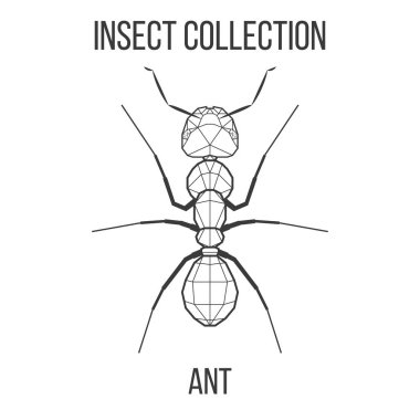 Geometrik karınca simgesi