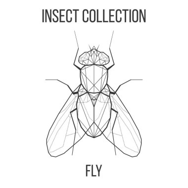 Geometrik sinek simgesi