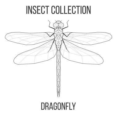 Geometrik yusufçuk simgesi